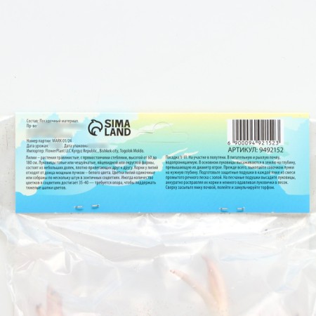 East Lilia "Virtuoo", rr 12/14, 3 pcs, spring 2024-3