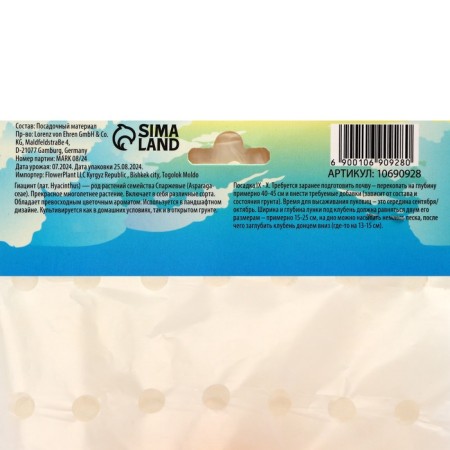 Hyacinth Top White, rr 14/15, 3pcs, autumn 2024-2