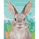 Picture on numbers on canvas with a subframe "Rabbit in the field", 40 x 50 cm
