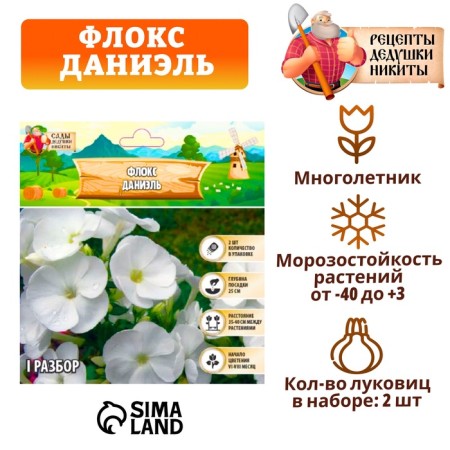 Флокс "Даниэль" р-р I, 2 шт,