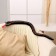 Soft toy "Snake", 80 cm, light strip