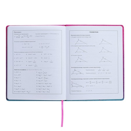 Universal Grade 1-11 Diary, 48 sheets "Chibi", solid cover of artificial leather, lies, universal cheat sheet, block 80 g/m2-8