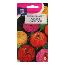 Cinnia flowers mixture 