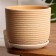 Pot Flower Vine Beige Boulers No. 2, 1.6 L, D - 15.2 cm