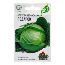 White cabbage seeds 