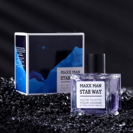 Male Water Male Maxx Man Starwa, 100 ml (based on EgoSte Platinum (Chanel)