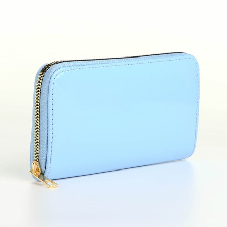 Lightning wallet, blue color
