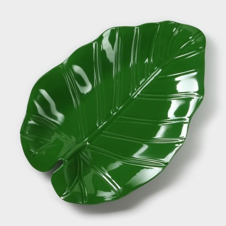 Serve dish "Liszt", 25 × 17 × 2 cm, green color