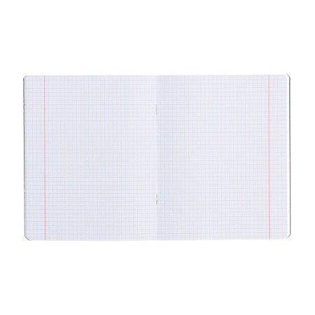 Notebook of 48 sheets in the Meshu Black Cat cage, cover coated cardboard, matte lamination, foil embossing, offset block, mix-1