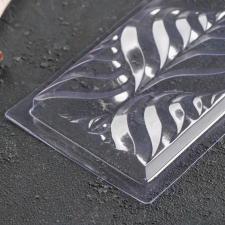 Form for chocolate and sweets "feathers", 18 × 8 cm, transparent color-1