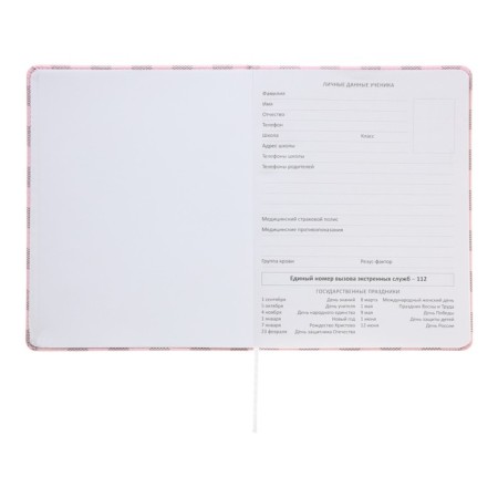 Universal diary for grade 1-11 Bear Collection, solid cover, artificial leather, silkography, lies, 80 g/m2-4