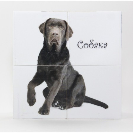 Cubes with pictures "Pets", 4 pcs.-2