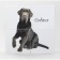 Cubes with pictures "Pets", 4 pcs.