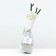 Claimber Rosa Falstuff Rosa, Plesy, 1 pc, spring 2024