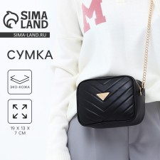 Bag with a line and color lining, black color