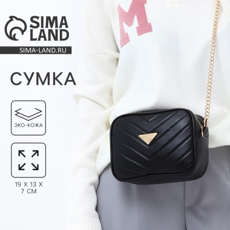 Bag with a line and color lining, black color