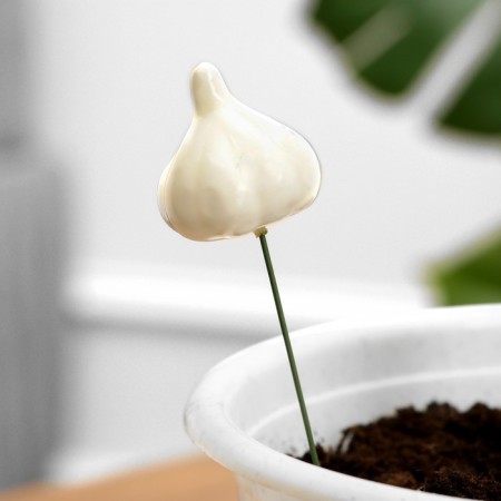 Set of plugs "Garlic" 10pcs, 3cm, length 25cm-1