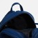 Youth backpack, lightning department, blue color