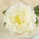 Artificial flowers "Georgin Fin" 15x57 cm D 13 cm, white