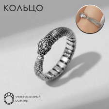 The Ring 