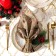 Set of Ethel Ethel "Sprout Branches" 46x46 cm - 4pcs, 100%HL, sarzha 190 g/m2