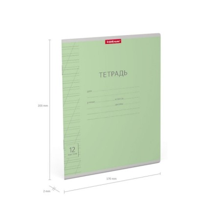 Notebook of 12 sheets in the slanting ruler, Erichkrause Visio "Classic", cover coated cardboard, offset block, green-2