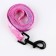 Set "Tenderness", fastener - Fastex, leash 2 m and collar 28-46 cm