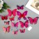 Magnet Plastic "Butterfly Pink" set 12 pcs