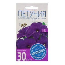 Flowers of Petunia 