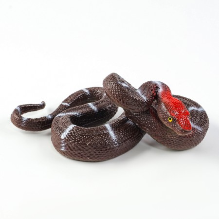 Rubber Snake "Boats"-1