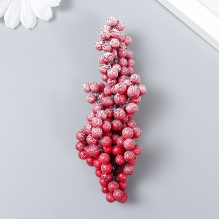 Decor for creativity a twig "frosty red berries" 9 cm