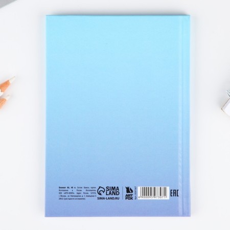 Notepad A6 in a solid cover, 40 sheets "Raccoon"-4