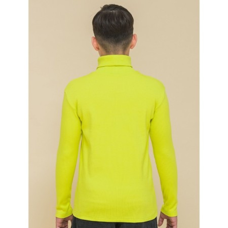 Turtleneck for a boy Pelican, height 128 cm, yellow color-2