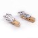 Set for photos and decor "kittens", in a set of clothespins 10 pcs., Rope 100 cm