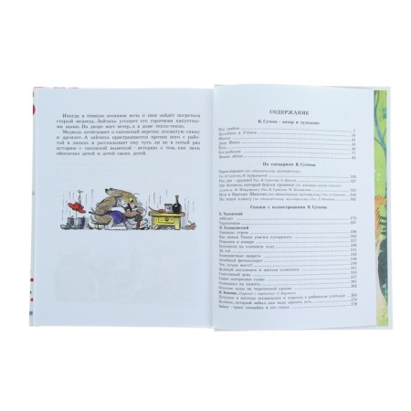 Book of fairy tales V. Steev-4