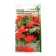 Belonia flower seeds tuberous, ampel, terry "chanson", red, 10 pcs.