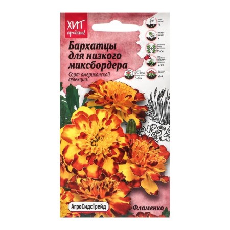 Flower Flmenko Flower Seeds, 10 pcs
