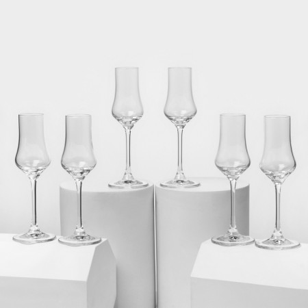 A set of glasses for grappa Universal, 100 ml, crystal glass, 6 pcs