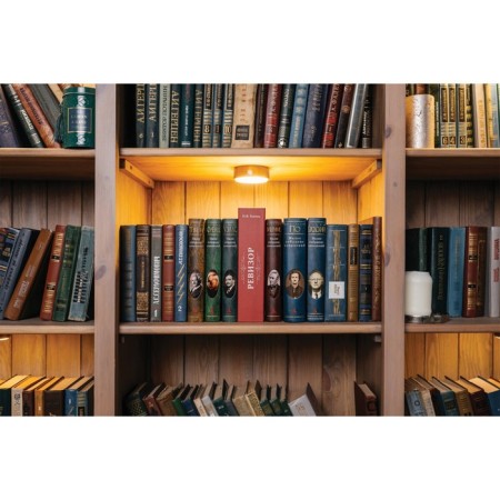 Safe-book "Examiner", 5.5x15.5x24 cm, key castle-9