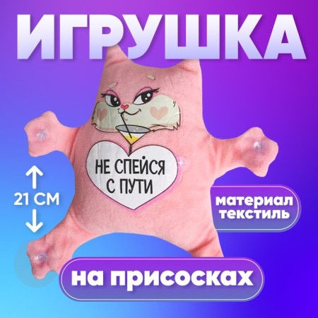 Auto -toe "Do not sleep from the way", cat, on suction cups