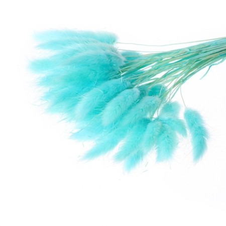 Sukhotzet "Lagurus", set of 30 pcs., Blue color-3