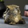 Figure "Owl with the Council" Brass 10x10x10cm