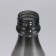 Water bottle "Mountains Call", 550 ml