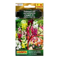 Flower seeds lion Zev 