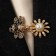 Cardigan clamp "Bee", black and white color in gold