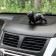Dog on a car panel with suction cup for glass, bulldog