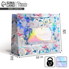 Gift holographic package, packaging, Dreams Come True, 32 x 26 x 12 cm