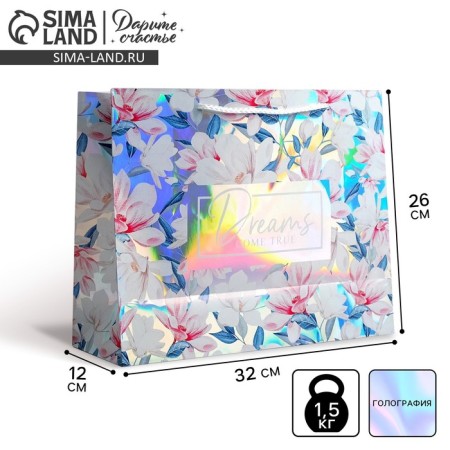 Gift holographic package, packaging, Dreams Come True, 32 x 26 x 12 cm
