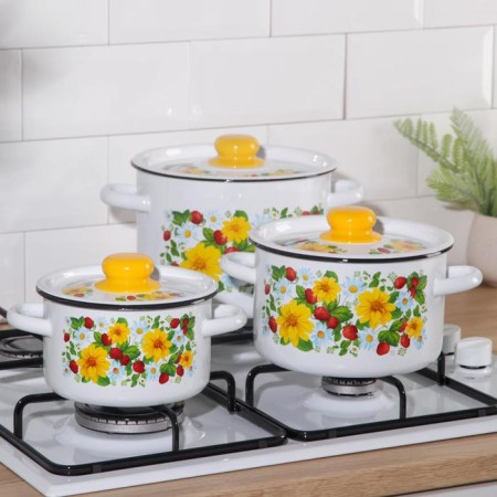 Set of pots "strawberries", 3 subjects: 1.5 l, 2.9 l, 4.5 l, enameled covers, induction-3