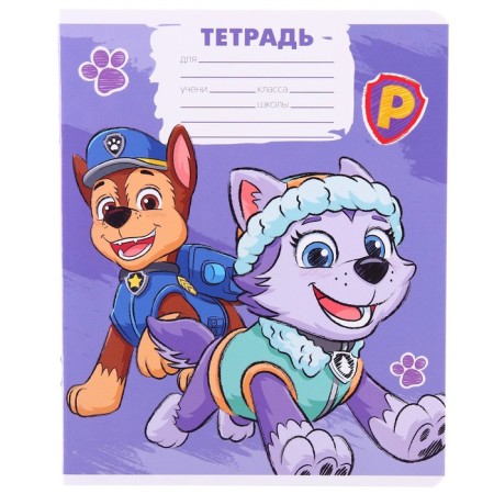 Notebook in a large cage 12 sheets, 5 types of mix, cover coated cardboard, puppy patrol-8